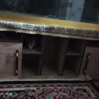 اکواریوم بزرگ|ماهی|شیراز, شیخ علی چوپان|دیوار