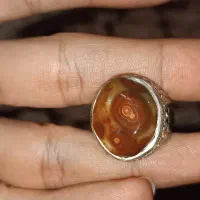 انگشتر سلطانی کلکسیونی|کلکسیون اشیاء عتیقه|اهواز, کمپلو جنوبی|دیوار