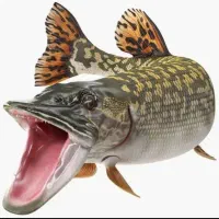 طعمه اردک ماهی جهت ماهیگیری بچه کپور|ماهی|اصفهان, ملاصدرا|دیوار