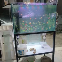 حراج اکواریوم مفت مفت به مدت محدود