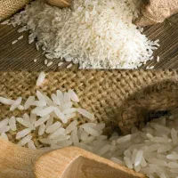 برنج شمال/برنج درجه یک/برنج طارم اعلاء/برنج هاشمی|خوردنی و آشامیدنی|بابل, |دیوار