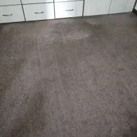 پالاز موکت رویال کلاسیک