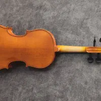 ویولن استیودنت|ویولن|اصفهان, بهارستان|دیوار