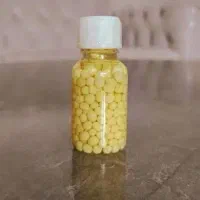 خاویار حلزون|خزنده|تبریز, |دیوار