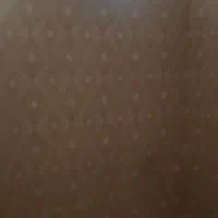 ویلایی دربستی  ۱۶۰متری یک طبقه نیم جنوبی وشمالی|اجارهٔ خانه و ویلا|تهران, تهرانسر شرقی|دیوار