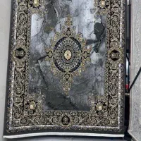 فرش‌۱۲متری‌قیمت‌‌موکت‌۷۷۰۰مرودشت|فرش|مرودشت, بیست متری بیمارستان|دیوار