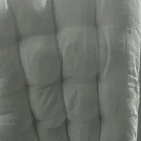 تشک پشمی