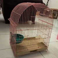 ۲ عدد قفس پرنده زینتی ب|لوازم جانبی حیوانات|آمل, |دیوار