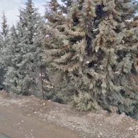 فروش ملک240متری