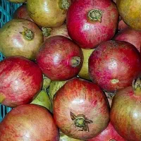 انارسمنان درجه یک