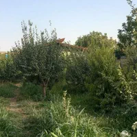 باغ ویلا|فروش خانه و ویلا|وحیدیه, |دیوار