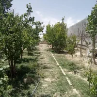زمین-خلیج-فارس-فروشی