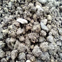 ماسه   مخصوص کیوی