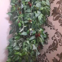 درختچه البالو|گل مصنوعی|تهران, تهرانپارس شرقی|دیوار