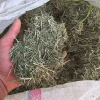 بیده|لوازم جانبی حیوانات|بم, |دیوار
