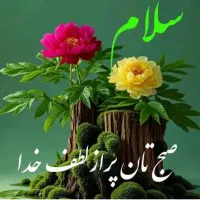 اجاره ۱۲ هکتار زمین کشاورزی واقع در بیضا