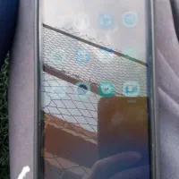 فروش کوشی a11