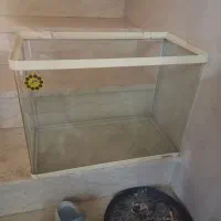 آکواریوم شرکتی
