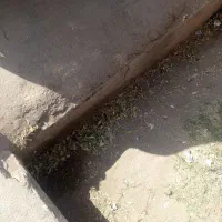 زمین در غصن آباد