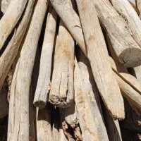 خرید و فروش چوب با بهترین قیمت|عمدهفروشی|شیراز, کیان آباد|دیوار