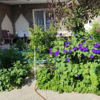 اجاره.خانه همکف حیاط دار برای دوستار طبیعت|اجارهٔ خانه و ویلا|باسمنج, |دیوار