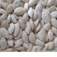 تخم کدو گوشتی مخصوص مشکل پسندا