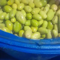زیتون درشت درجه یک موجود می‌باشد کنسروی و شکسته|عمده‌فروشی|لوشان, |دیوار