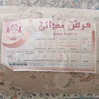 قالی ماشینی۱۲متری|فرش|خمام, |دیوار