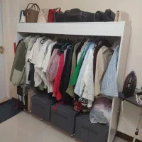 ۲عدد رگال مزونی تمیز