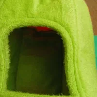 خونه ی عروس هلندی مرغ عشق فنچ مرغ مینا