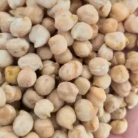 فروش نخود درشت ودیم