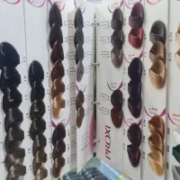 کاتالوگ رنگ پروکسی|آرایشی، بهداشتی، درمانی|مشهد, الهیه|دیوار