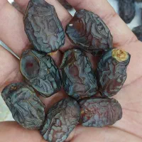 شادگان