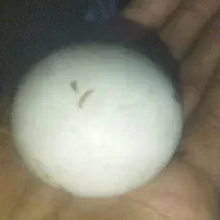سنگ آسیاب الماس