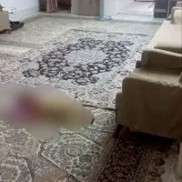 آپارتمان 82 متری 2 خواب|اجارهٔ آپارتمان|مشهد, طبرسی شمالی|دیوار
