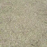 آویشن برگ