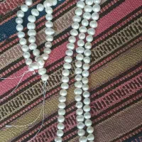 مروارید اصل پروری