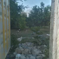 باع-به-متراژ332متر-روستای-فیض-اباد