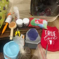 گوربه گربه بریتیش