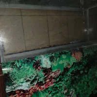 آکواریوم ۱۲۰ سانتی با پایه فلزی و لوازم