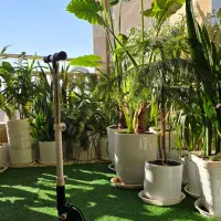 اسکوتر دخترونه|دوچرخه، اسکیت، اسکوتر|مشکین‌دشت, |دیوار