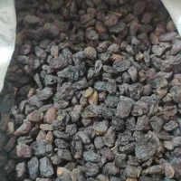 افتابی با شهد بالا ، دم گیری شده بدون چوب|خوردنی و آشامیدنی|بوانات, |دیوار