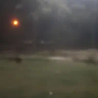 کیف جیبی مشکی رنگ گم شده.سیروس بسطام
