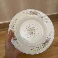 ظروف آرکوپال