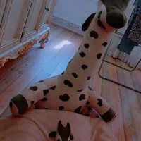 جای خواب کودک گارد دار