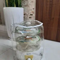 بخار پز همیلتون