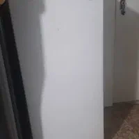 فریزر دوو هتلی