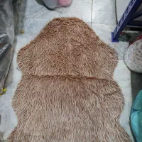 دم دری خز دار