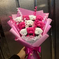 بوکت عروسکی|اسباب‌بازی بچه|کرمانشاه, |دیوار