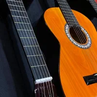 گیتار پارسی اکشن پایین|گیتار، بیس، امپلیفایر|مشهد, آزادشهر|دیوار